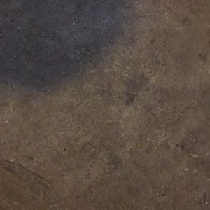 Meet your Posher, Craig